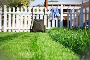 grass-cutting-services-islington