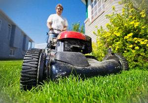 grass-cutting-islington